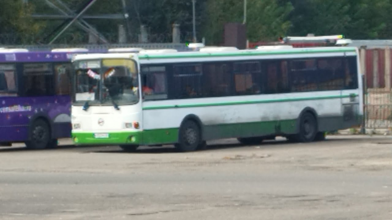 Автобус №118 АВ Смоленск - Борщевщина