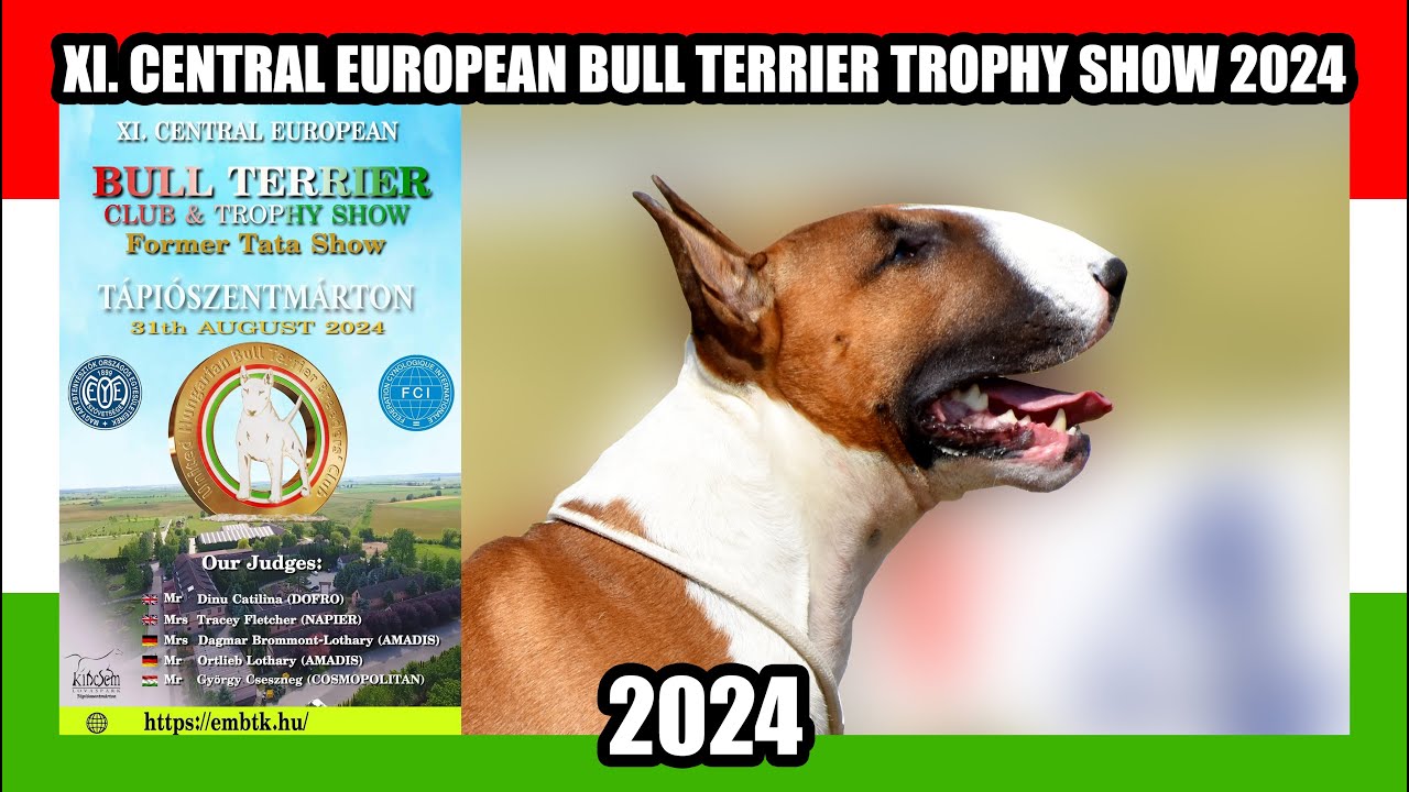 XI. Central European Bull Terrier Trophy Show 2024
