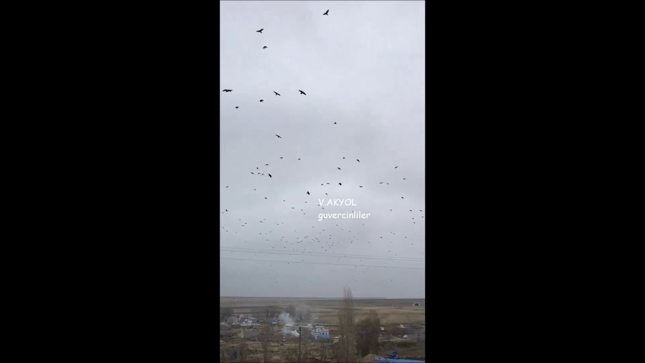 Kars -Arpaçay -Güvercin Köyü