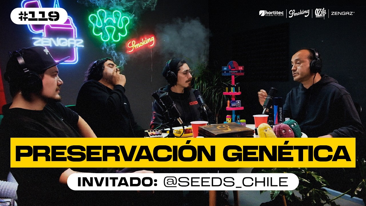 Preservaci&oacute;n gen&eacute;tica, Autom&aacute;ticas, H&iacute;bridos actuales y STS junto a Juan de Seeds Chile #119