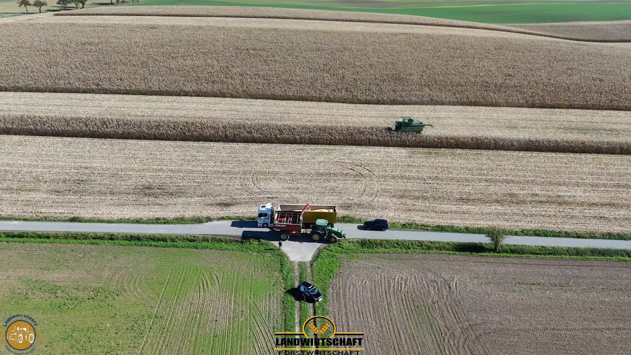 Mais für Schweine Futter! Körnermais Ernte John Deere S780i Lohnauftrag Mais Dreschen Landwirtschaft