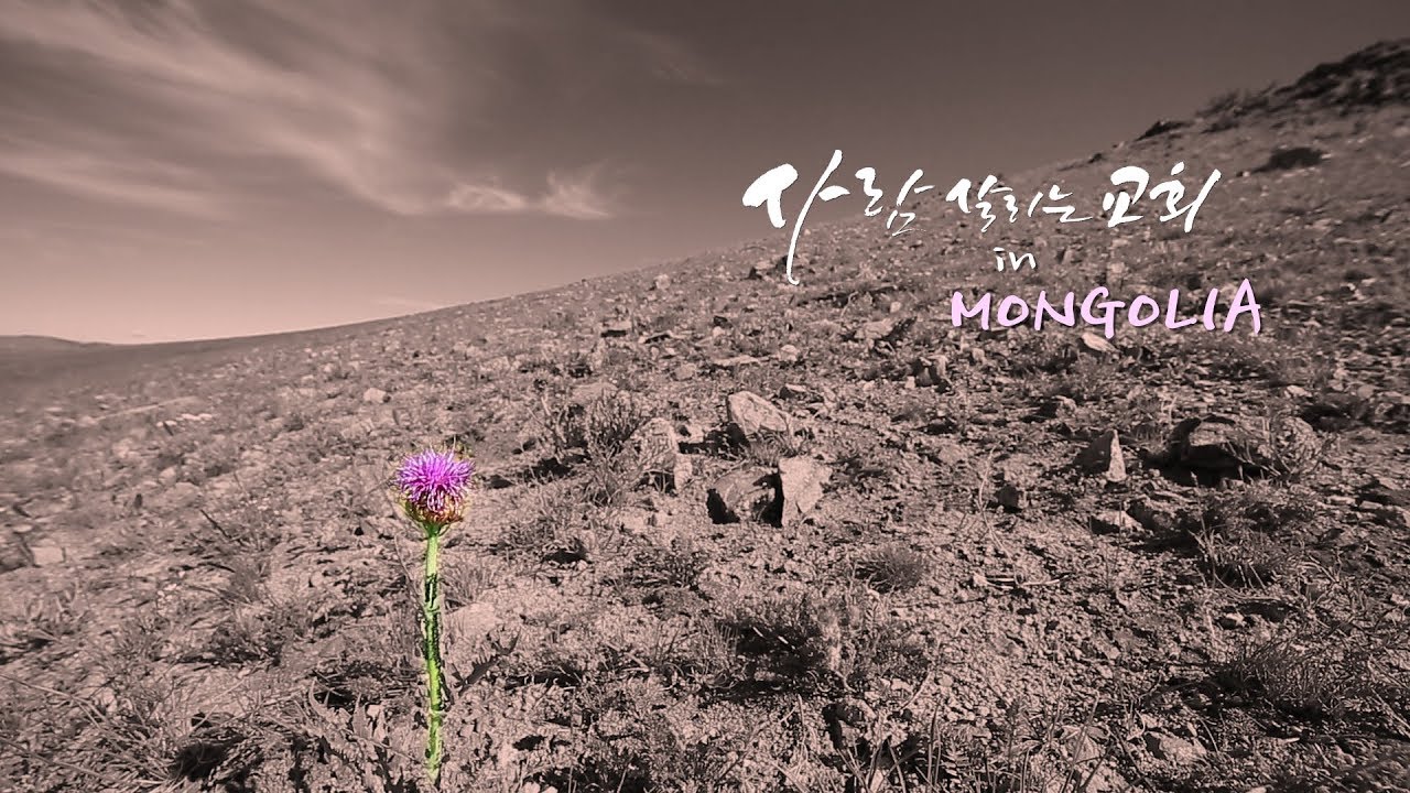 2017 사람 살리는 교회 - 몽골 아웃리치