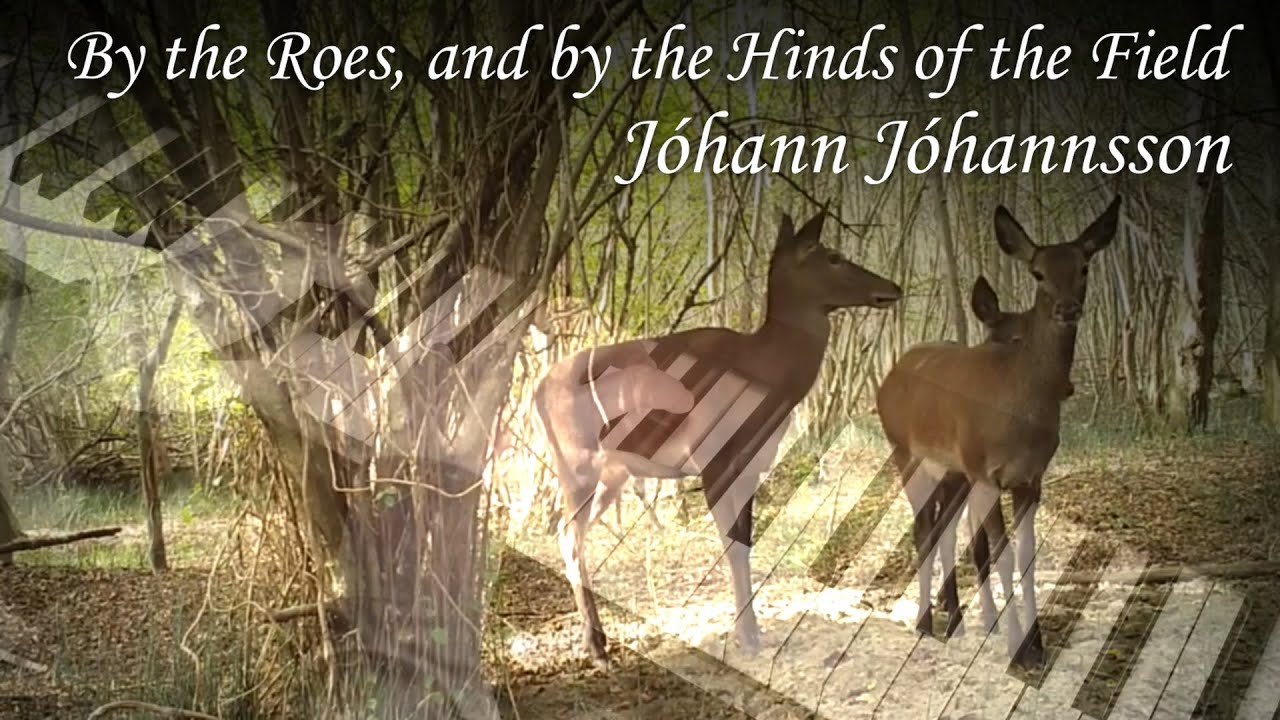 By the Roes, and by the Hinds of the Field - Jóhann Jóhannsson | Relaxing piano