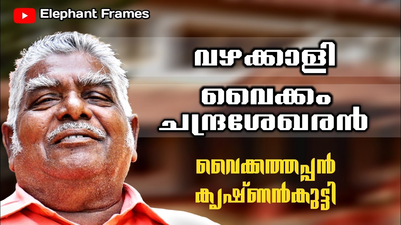 ആനയെ വില്ലനാക്കിയ കഥ | Vaikathappan Krishnankutty | Elephant Frames | PART 2