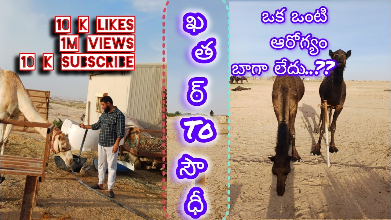 ఖతర్ to సౌదీ..??plz subscribe 