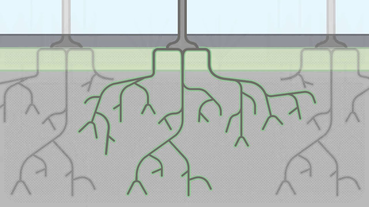 What is biofiltration - Urban Water | City of Melbourne