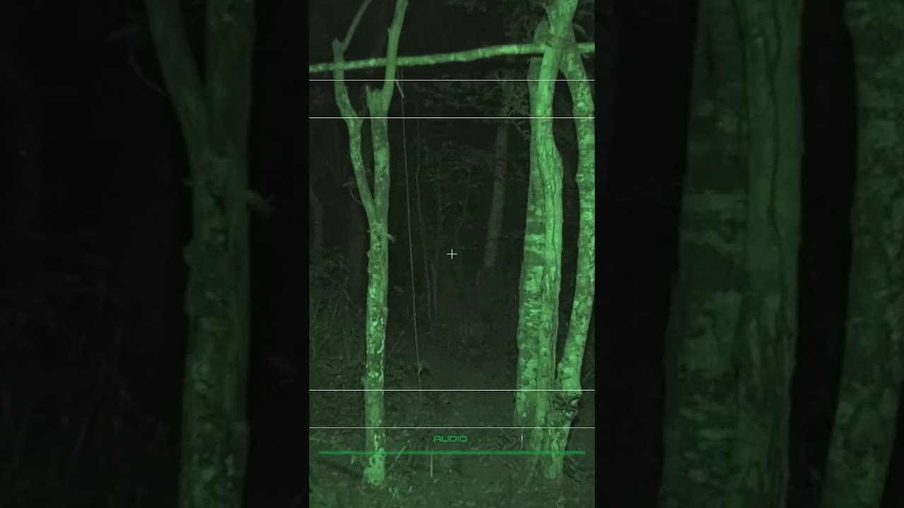 Alien Origin #film #series #free #reels #shorts