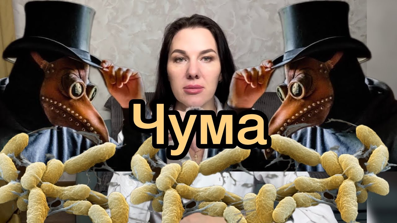 19 марта 2026 г.