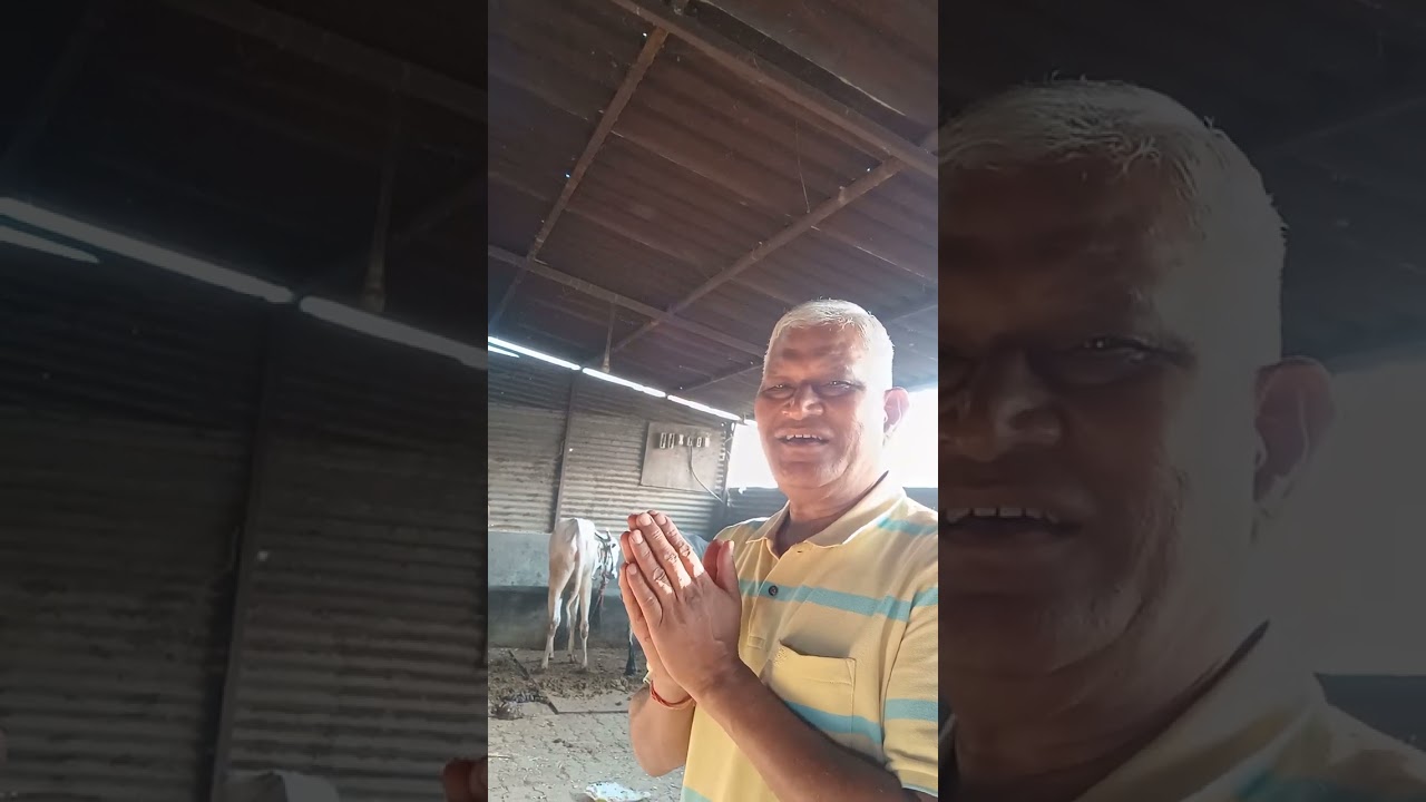 Geeta Olympiad 2025, Goshala visit, 