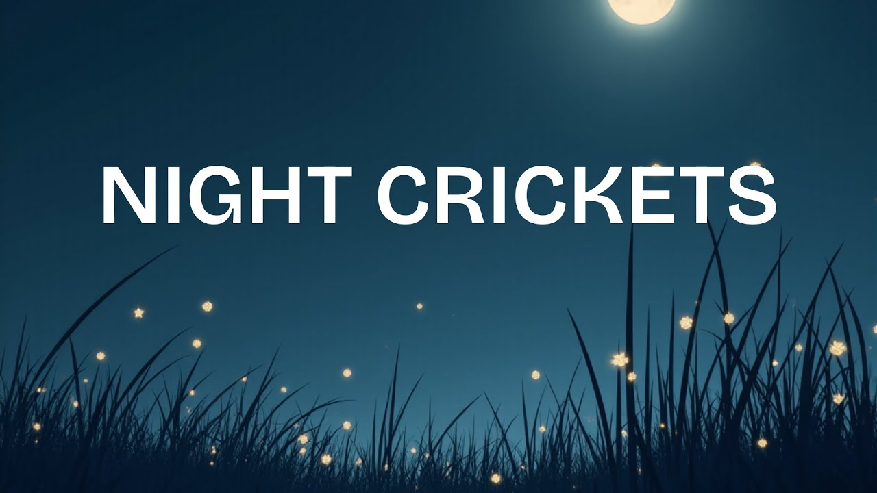 Crickets Night Ambience for Deep Sleep | Calm Nature Sounds | 8 Hours