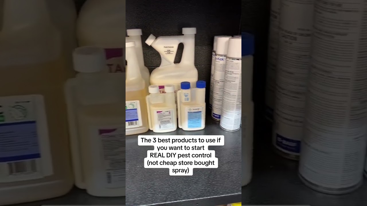 3 Best Products to Use to start DIY Pest Control  #pestsolutions #pestcontrol #pestmanagement