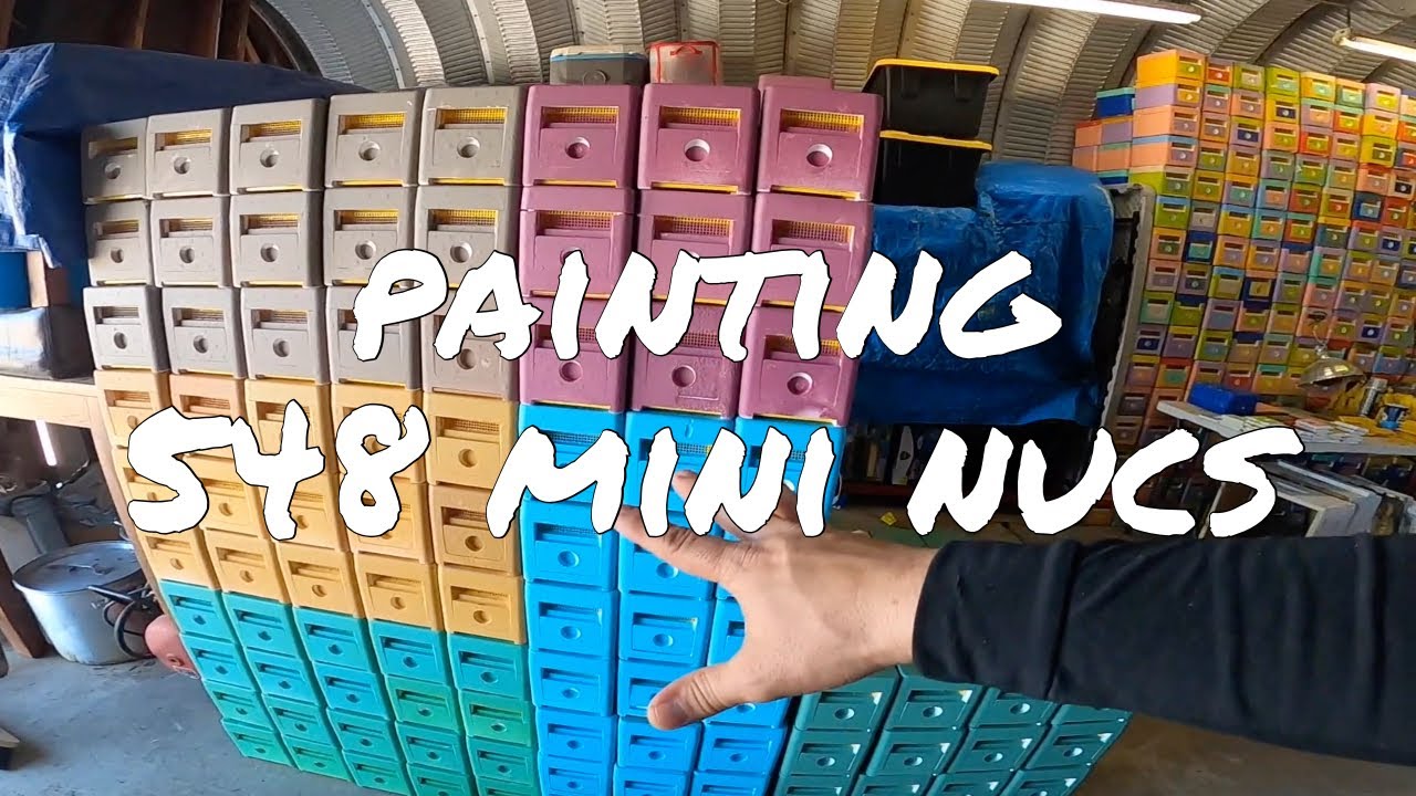 Painting 548 Mini Styrofoam Nucs - Prepping for Queen Breeding Season - Commercial Queen Breeder