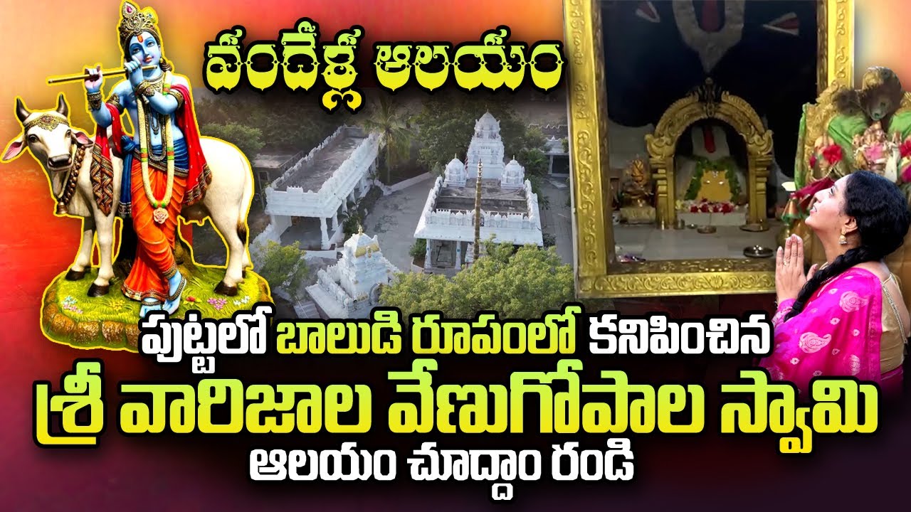 Sri Varijala Venugopala Swamy Temple Story | Gopalayapalli | Ramulamma | SumanTV Telugu