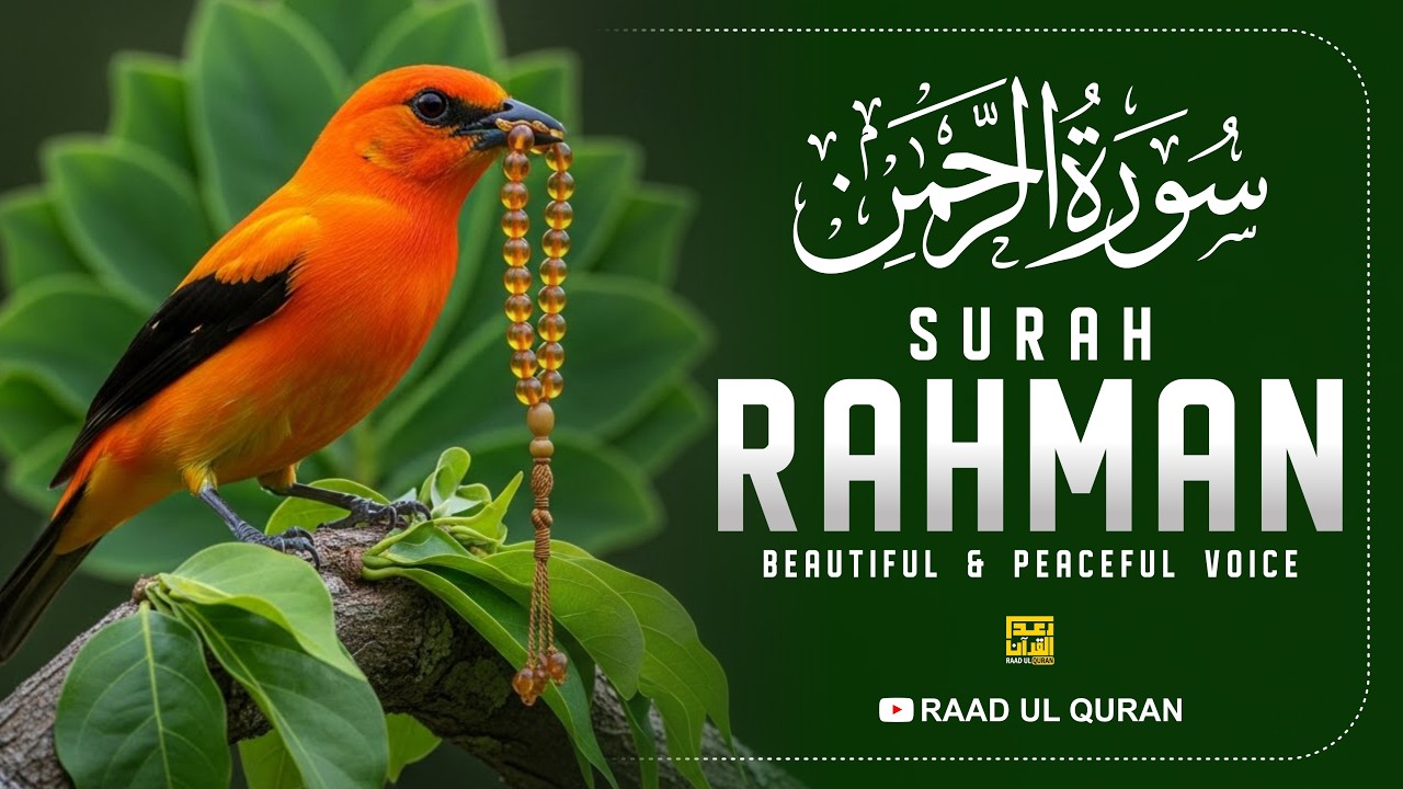 Surah Ar Rahman سورة الرحمن | Heart Touching Quran Recitation | Raad Ul Quran | #RaadUlQuran