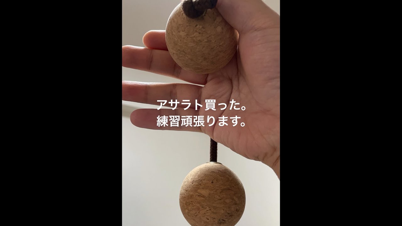 【アサラト】30代後半、未経験から1年間本気で西アフリカ発祥の民族楽器Asalatoに挑戦してみた結果