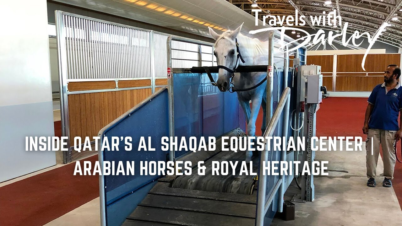 Inside Qatar&rsquo;s Al Shaqab Equestrian Center | Arabian Horses & Royal Heritage