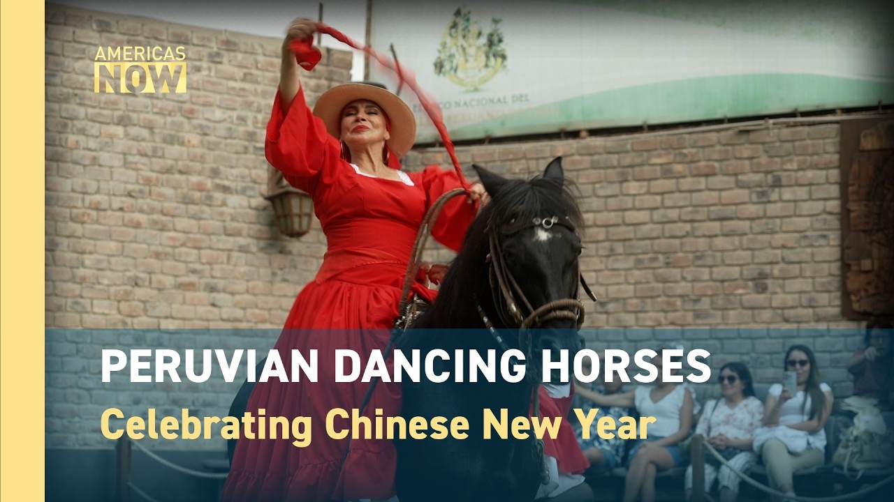 Peru’s dancing horses for the Year of the Horse