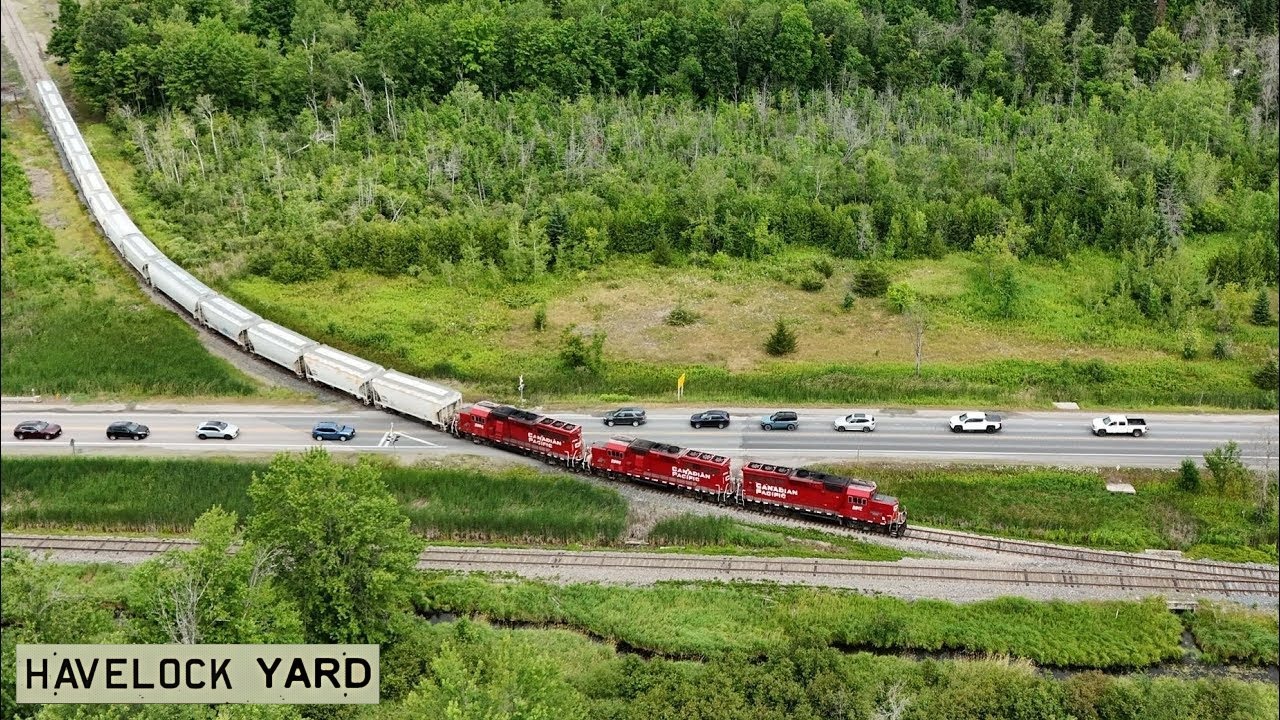 Nephton Turn rolls into Havelock Yard