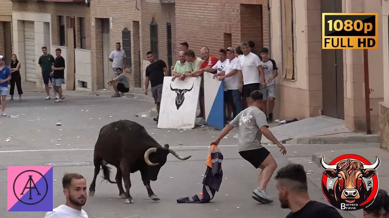 Villamayor de Gallego. Tarde de Vacas | 05/07/2025 | Ganad. Alberto Álvarez
