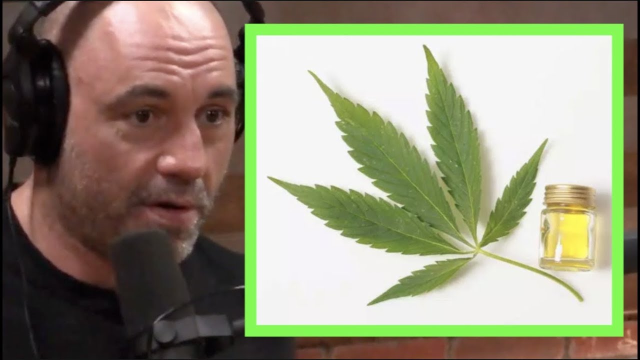Joe Rogan - Effects of High Potency Marijuana, CBD | JRE Pot Debate