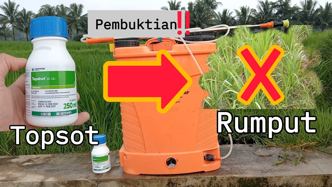 buktikan obat topshot ampuh basmi rumput‼️