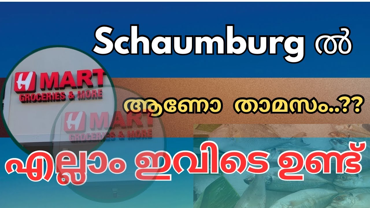 Schaumburg il ആണോ താമസം...?? എന്നാൽ ദേ ഇങ്ങോട്ട് പോരെ  എല്ലാം  ഇവിടെ ഉണ്ട്‌  #usa #hmart 