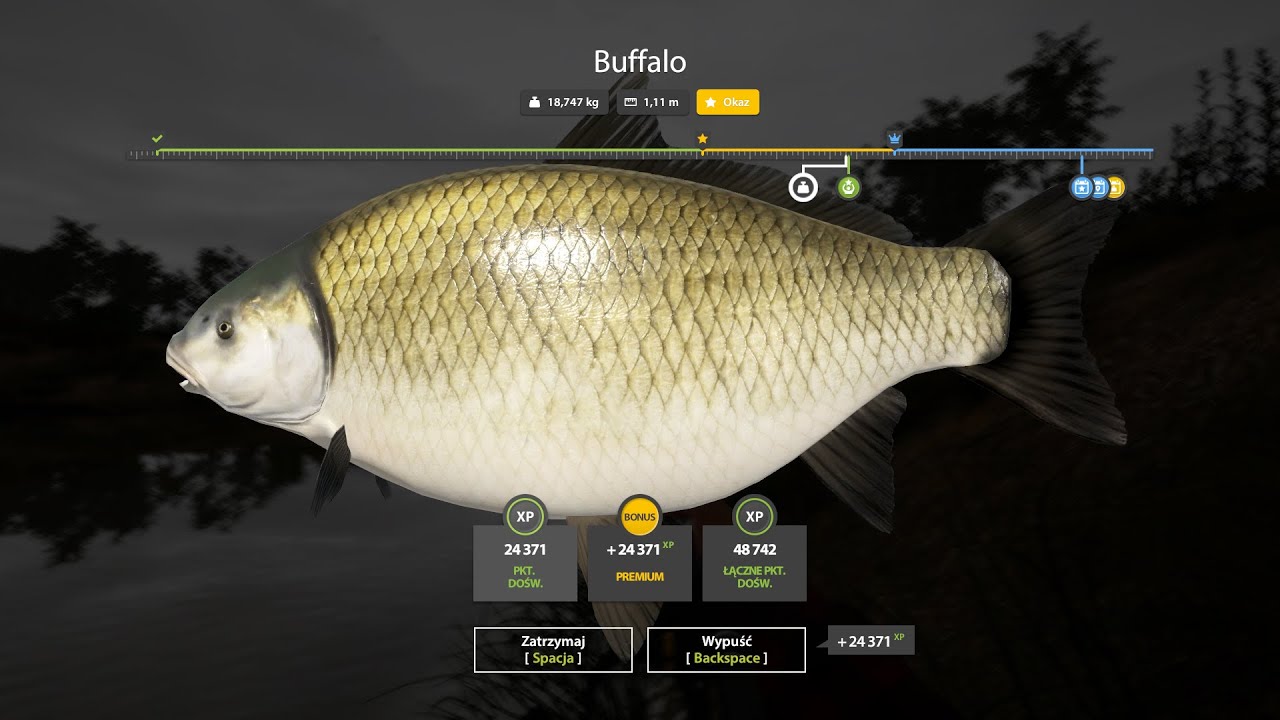 Russian Fishing 4 Buffalo Trophy - Akhtuba River