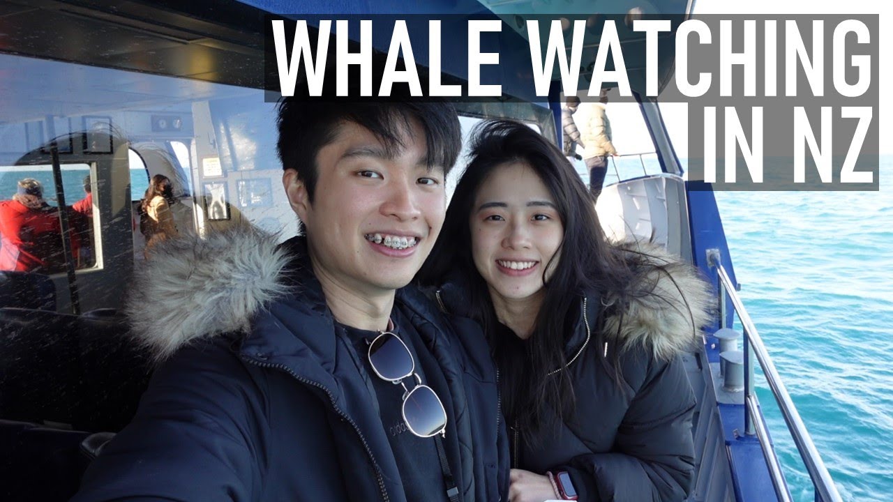 LOBSTER DINNER AND WHALE WATCHING | A memorable end to our NZ road trip | New Zealand Travel Vlogs