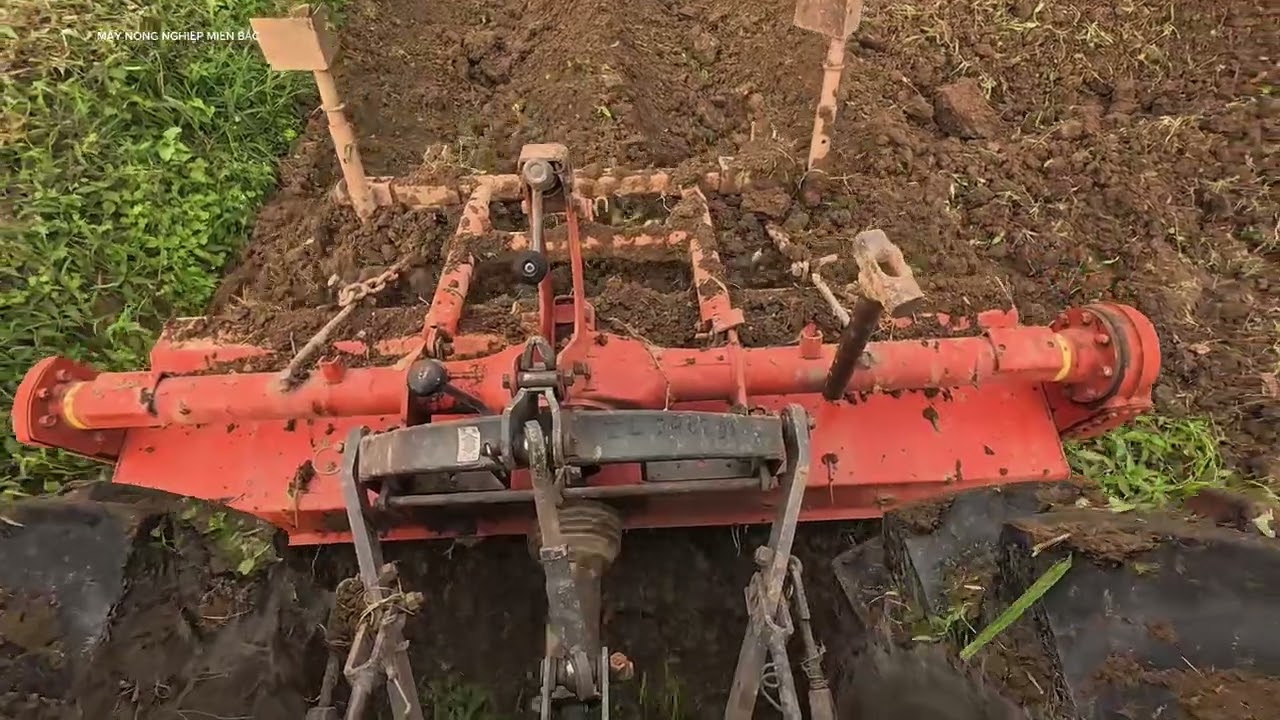 Quay chị tiết cách lên ruống mía, từ trong ra ngoài