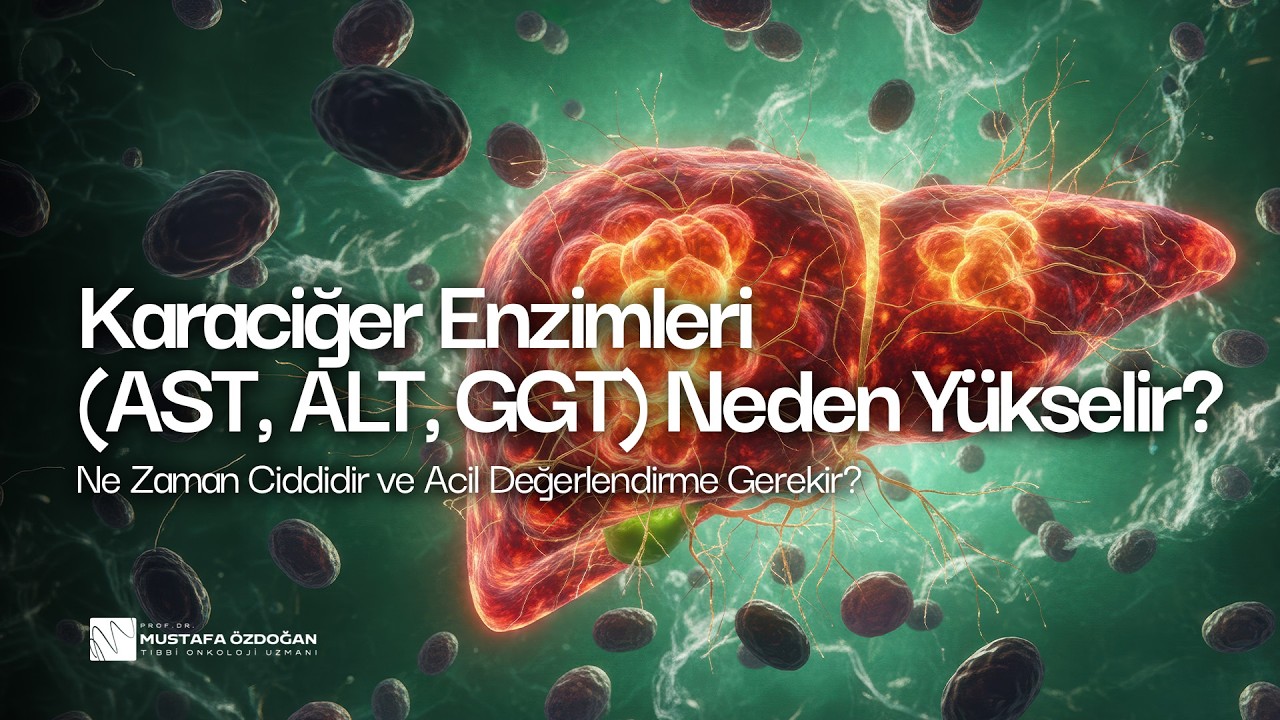 Karaciğer Enzimleri (AST, ALT, GGT) Neden Yükselir? Ne Zaman Ciddidir ve Acil Değerlendirme Gerekir?