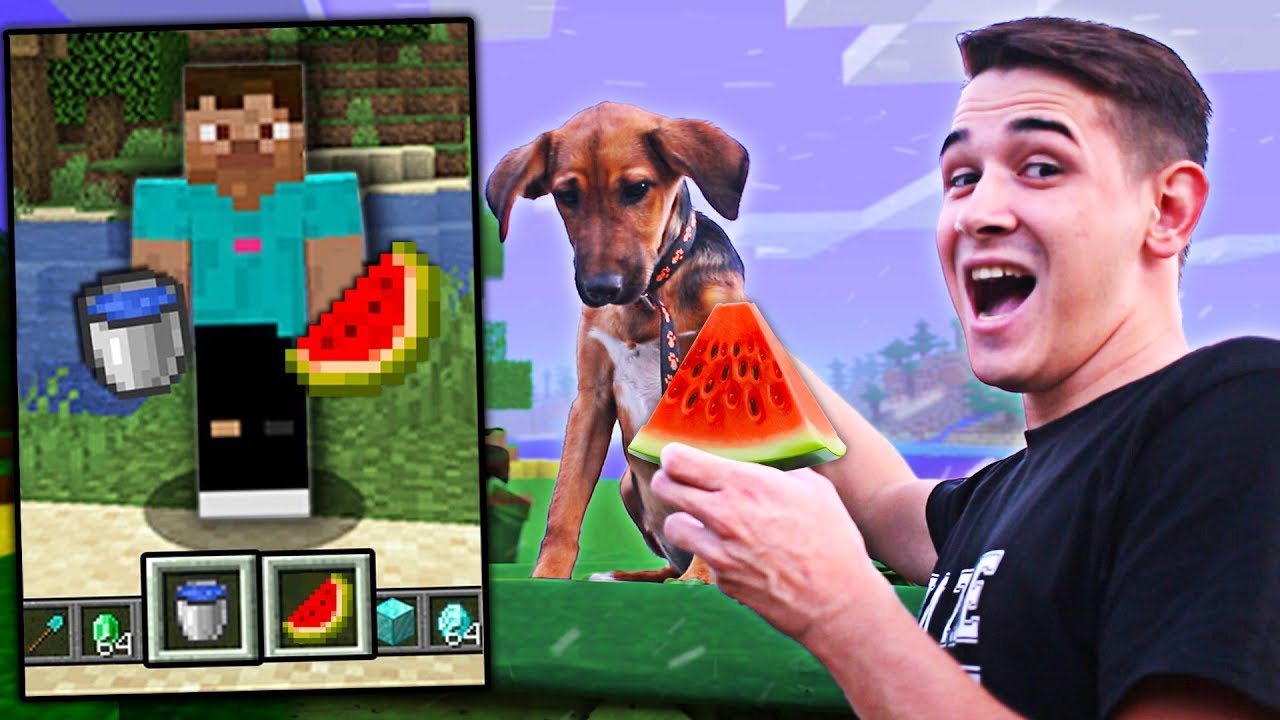 MOJ PAS JEDE SAMO HRANU IZ MINECRAFTA 24h