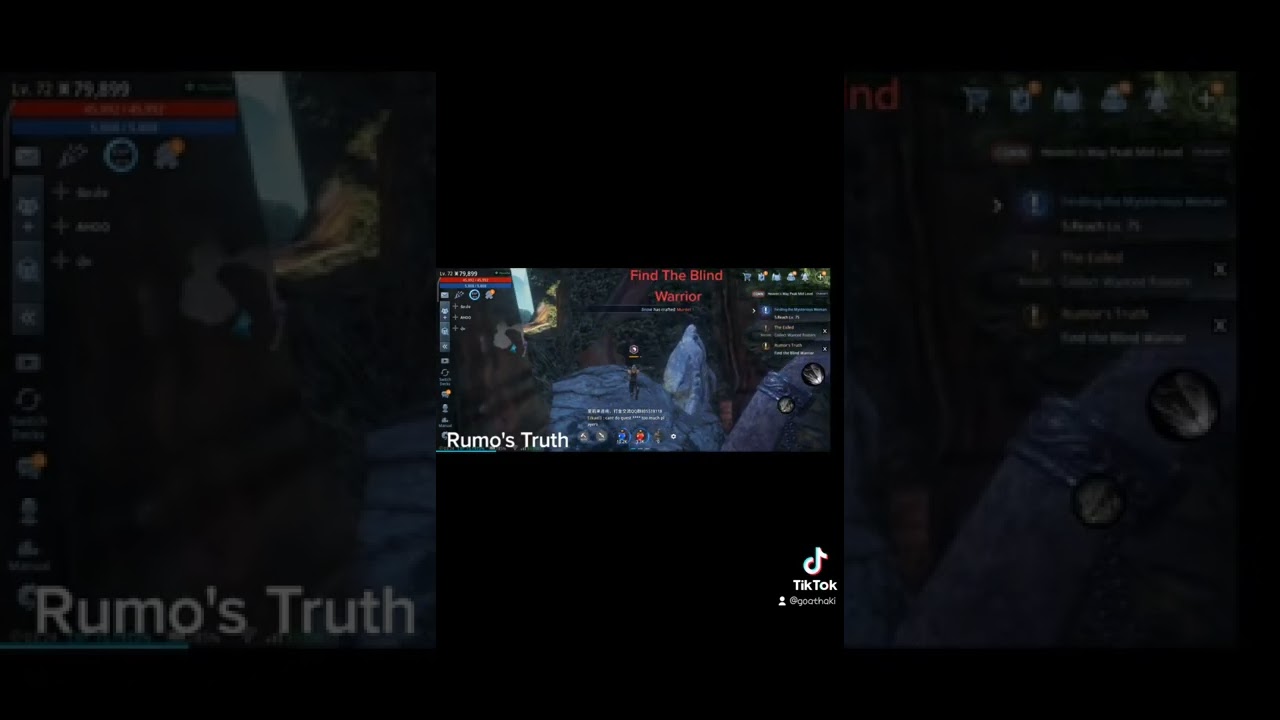 #mir4 #1m #1billionviews Common Mission Rumor's Truth - Find The Blind Warrior