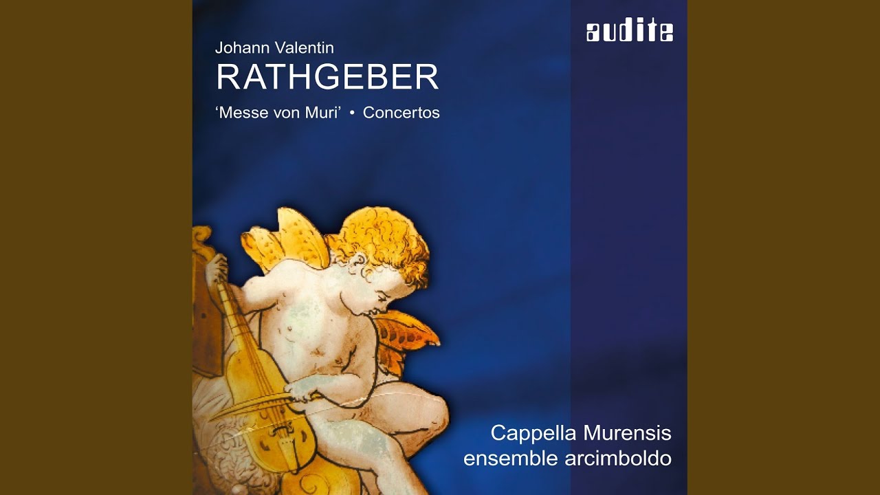 Concerto XIII in D für Tromba marina, Streicher, Pauken und Basso Continuo