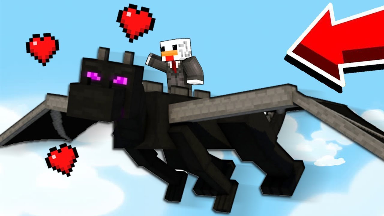HO ADDOMESTICATO IL DRAGO DI MINECRAFT!