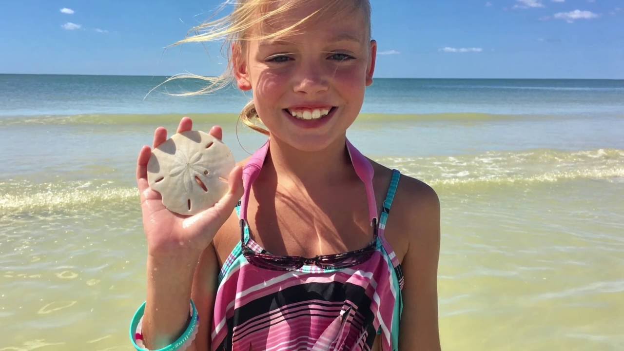 i Love Shelling Adventure to Cayo Costa Island