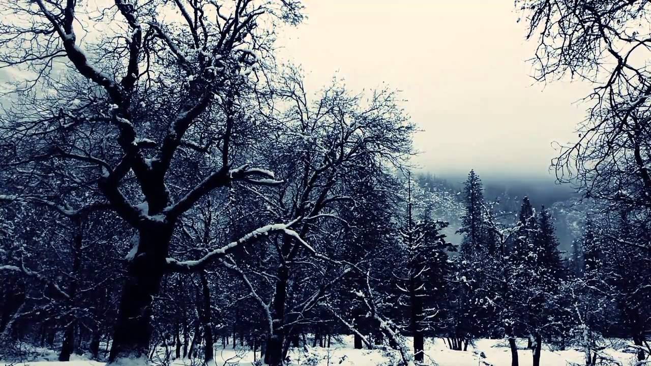 Winter in Yosemite National Park