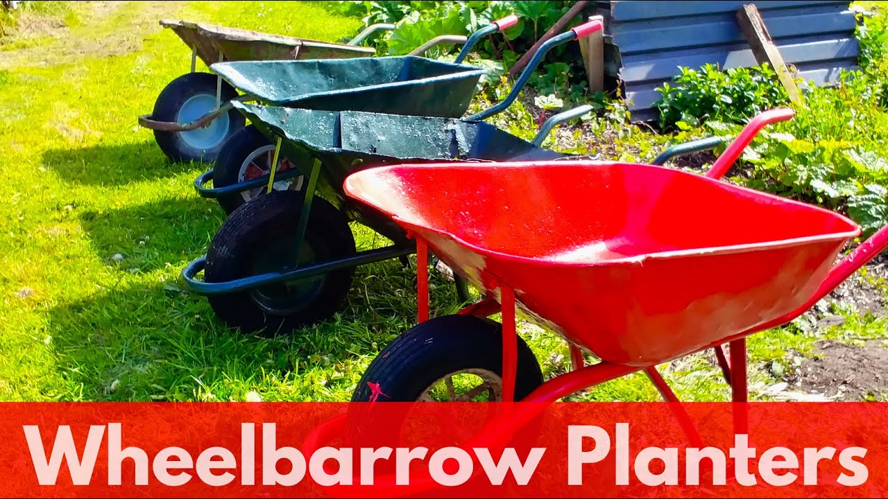 How to make planters from old rusty wheelbarrows.