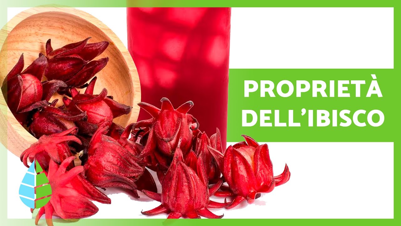 9 BENEFICI dell'IBISCO 🌺✅ (Propriet&agrave; Medicinali, A cosa serve e Come Assumerlo)