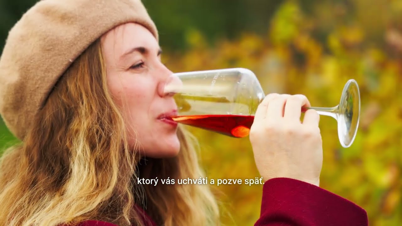 Malokarpatská vinohradnícka oblasť ponúka vína, ktoré rastú z krajiny aj z ľudí. 🍇⛰️