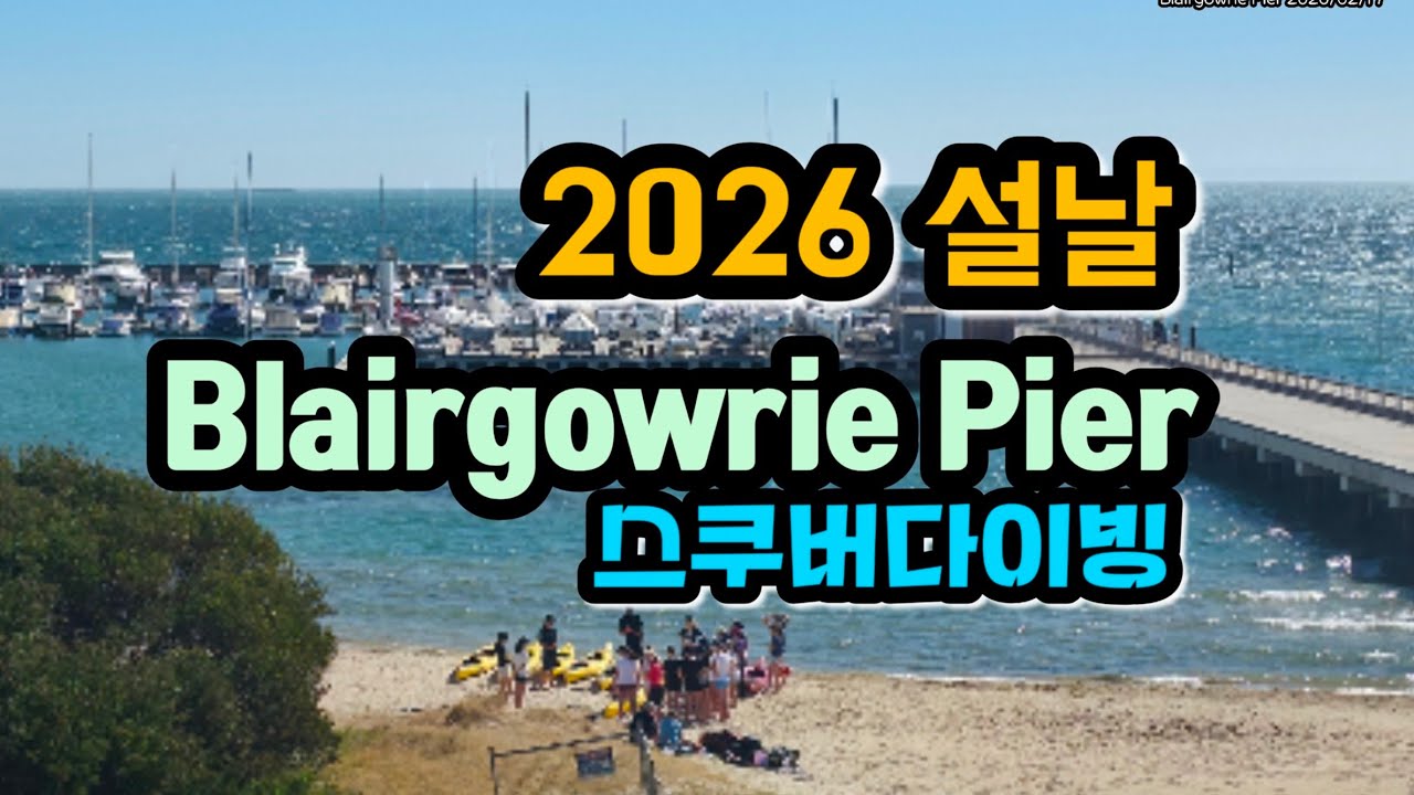 멜번 블레어고워리 피어 스쿠버다이빙 Blairgowrie Pier 2026/02/17