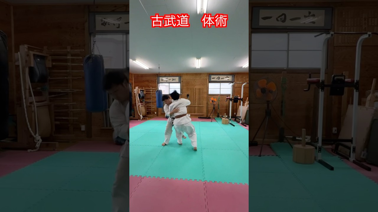 【武道・武術】古武道の時代の体術とは！？現代との違いも紹介！！　#aikido ＃karate #martial #武道 #空手＃合気道＃筋トレ#selfdefens