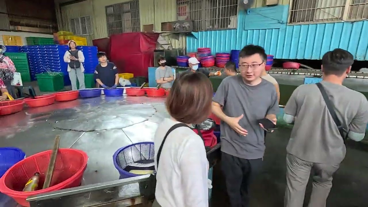 Unbelievable Speed! Taiwanese Fish Market Buzzing with Fresh Catch and Fierce Bidding! 明發定置漁場 0
