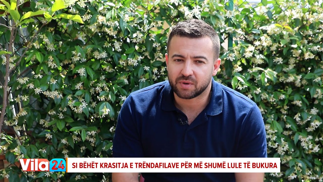 Krasitja, sekreti i lulëzimit të bukur të trëndafilave, Jano: Ja si veprohet!