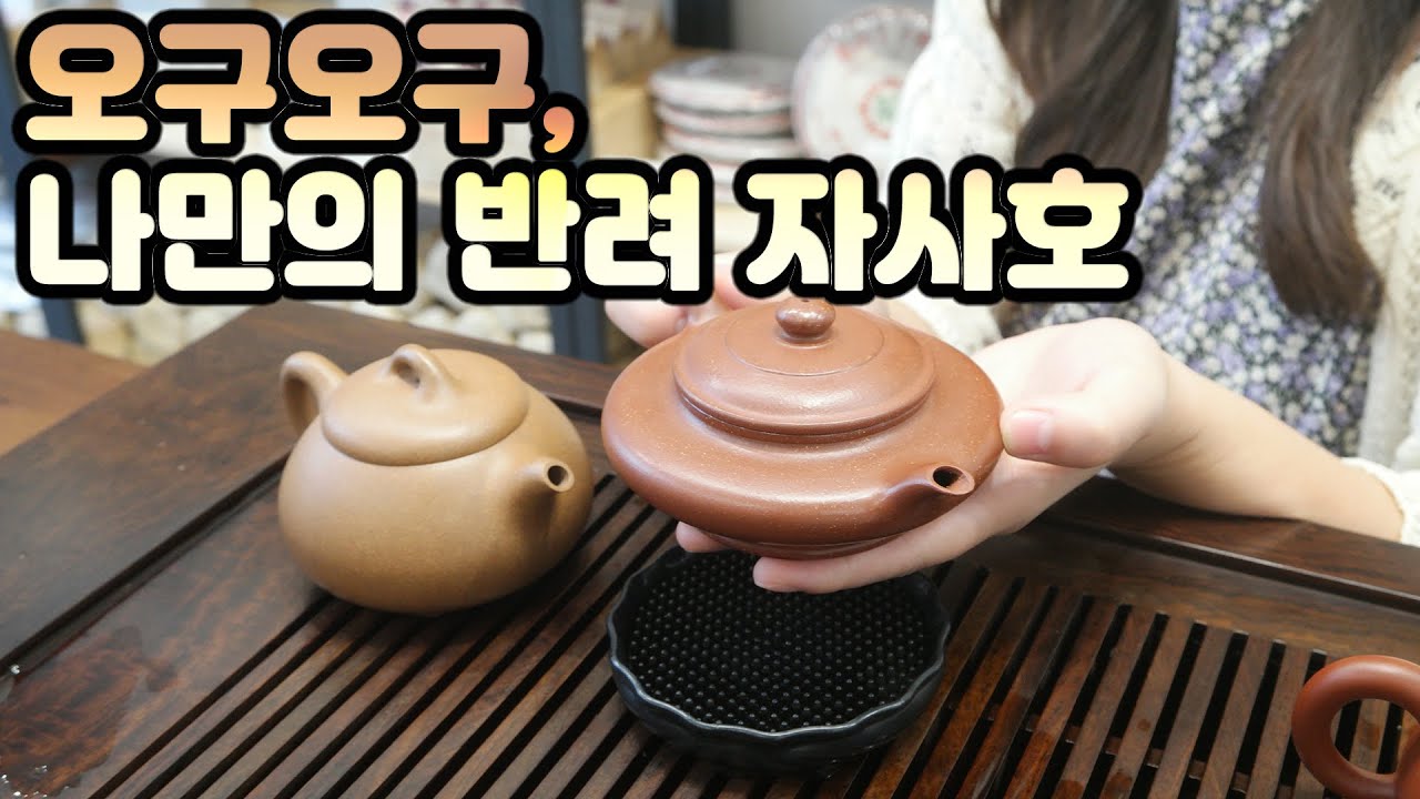 [자사호리뷰]각양각색 매력이 넘치는 반려차호 4점을 소개해요[지유명차영종점]