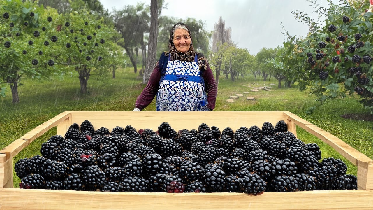 Собирайте Дикую Ежевику и Готовьте Много Вкусного Варенья в Дождливую Погоду!