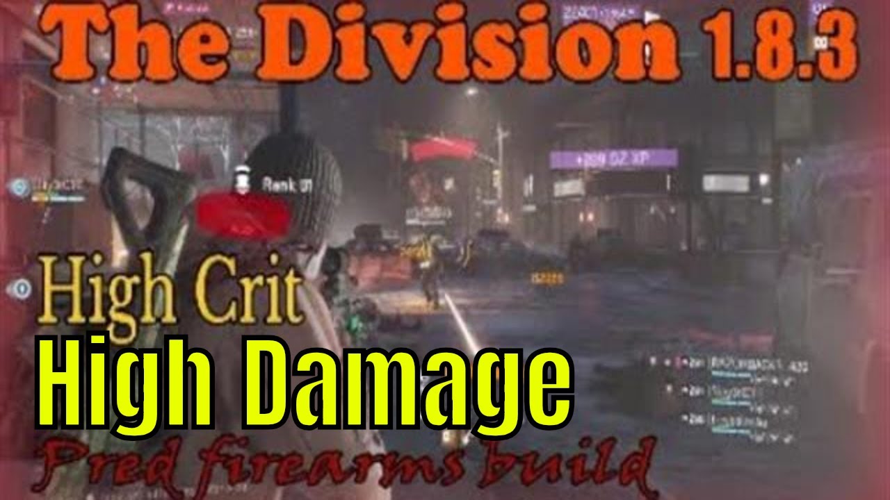 The Division 1.8.3 Predator's Mark firearms build