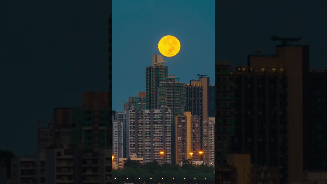 You take the best photos when&hellip; Sony 100-400mm GM