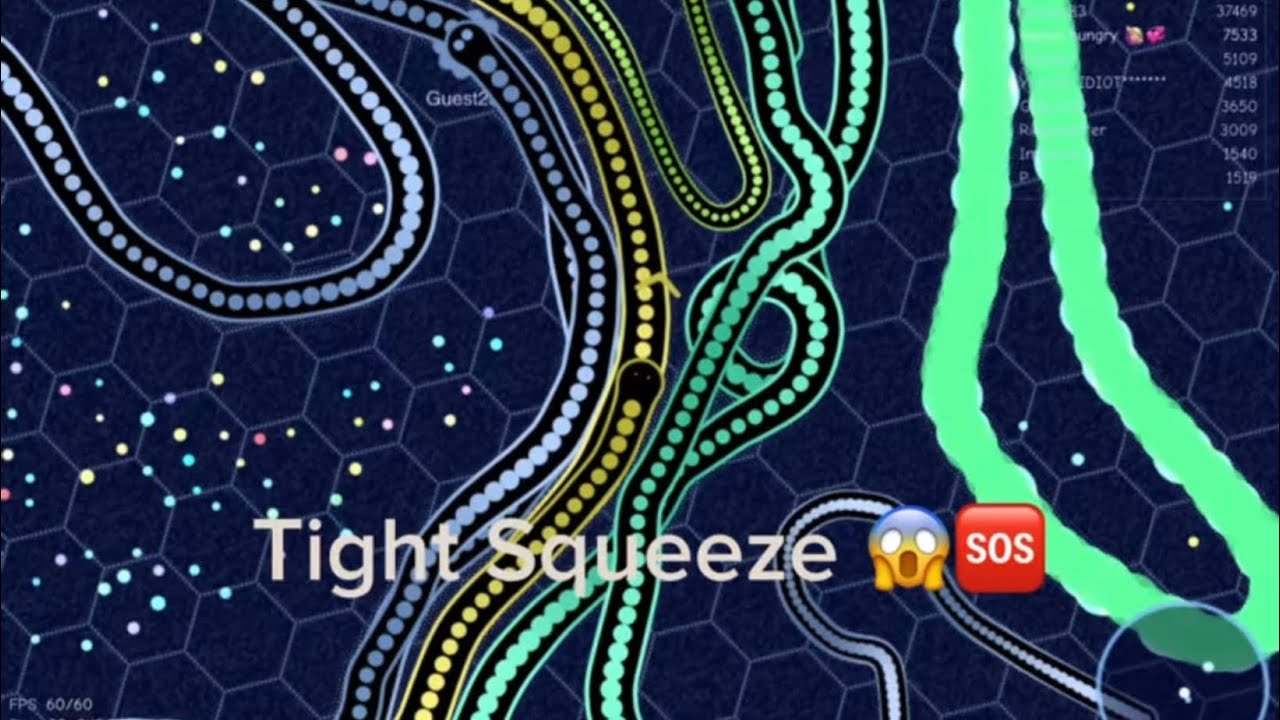 Big wrap, big risk - worth it?🔥🐍💥 gulper.io