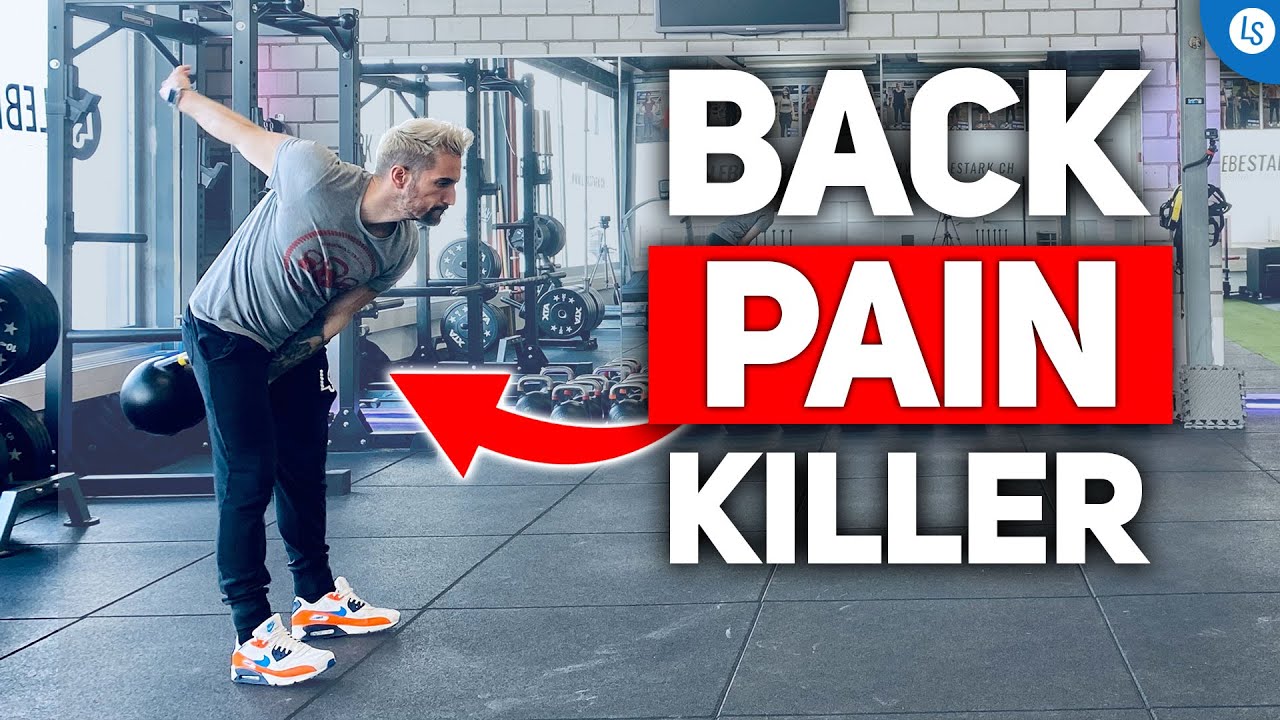 The Single BEST Exercise For Low Back Pain And How To Do It SAFELY - (INCL. WORKOUT FOR BEGINNERS)