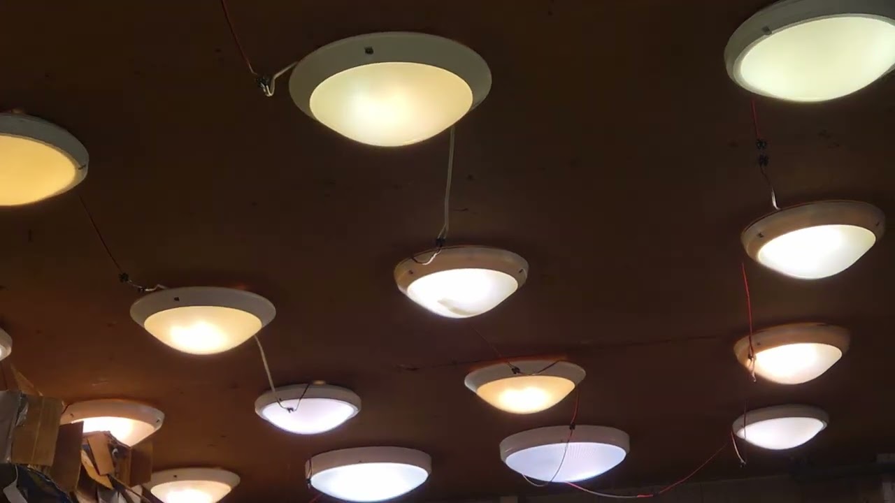 Dernière mise au point des hublots du local avant désinstalation: 2 morts subites sur les lampes